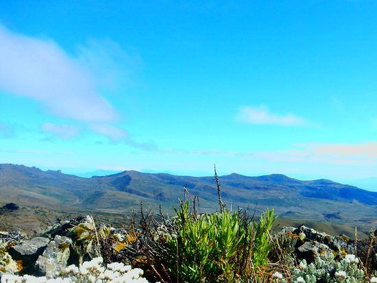 Mt. Elgon National Park